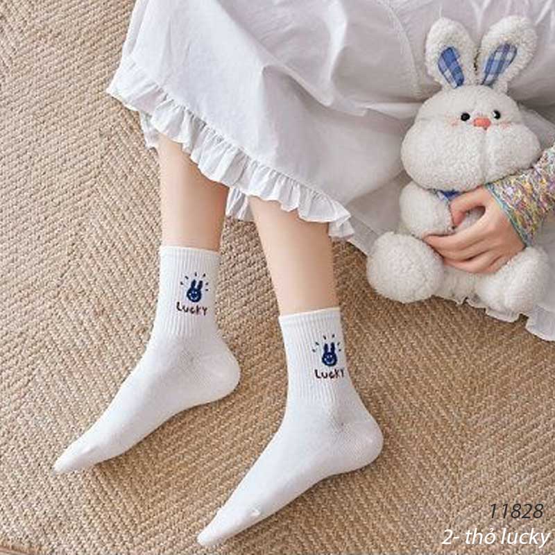 Quà Tặng Tất vớ cổ trung tất hoạt hình phong cách Hàn Quốc nữ 11828