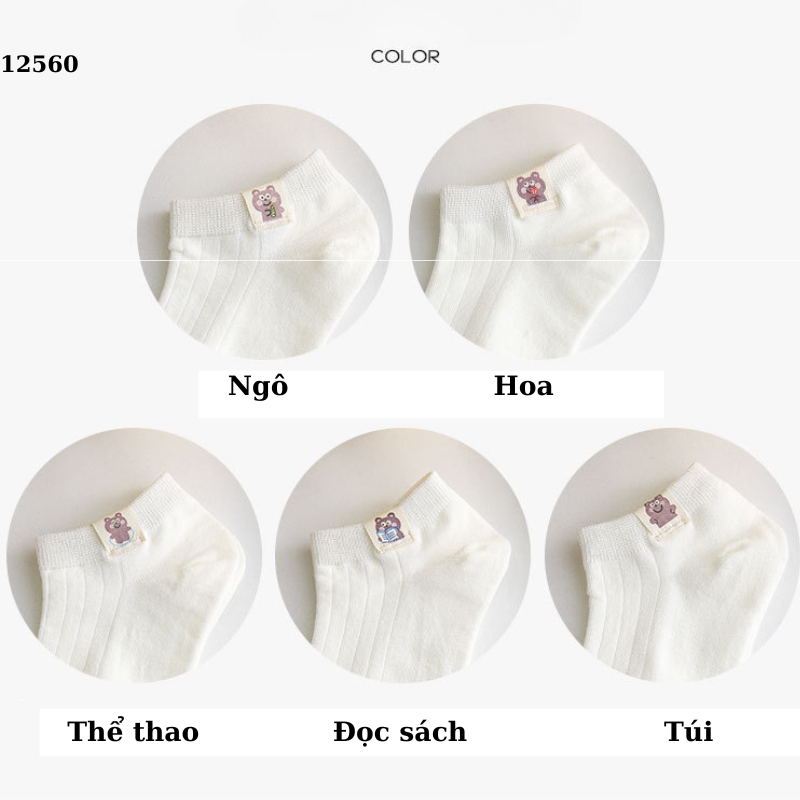 Tất cotton hình gấu nâu,tất cổ ngắn thấm hút mồ hôi 12560